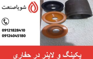 پکینگ و لاینر