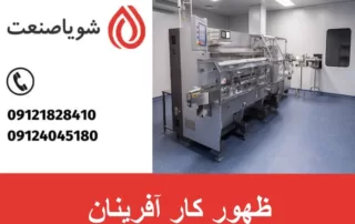 ظهور کار آفرینان