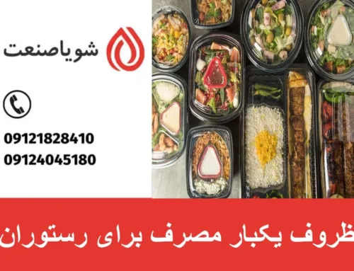 تولید ظروف یکبار مصرف برای رستوران | بررسی درامد و سود حاصل