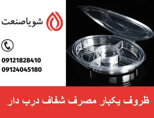 ظروف یکبار مصرف شفاف درب دار | بررسی سود تولید + درامد فروش محصول