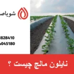 نایلون مالچ چیست ؟